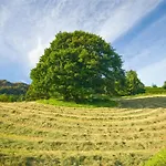 Tatil Evi Foxdene Underbarrow