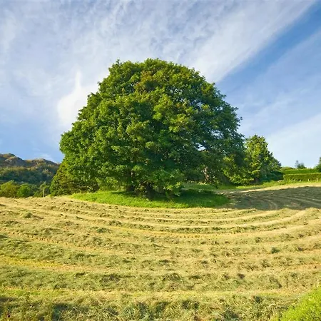 Nyaraló Foxdene Underbarrow